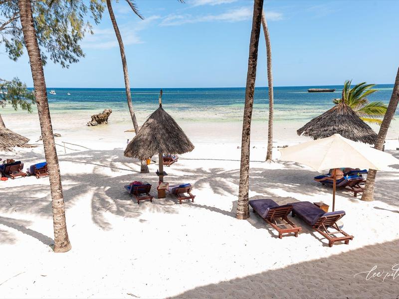 Strand met witte ligstoelen en rieten parasols, omgeven door palmbomen aan zee.