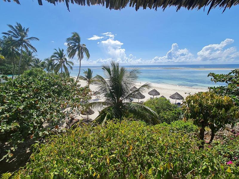 View of a tropical beach with palm trees and thatched roofs under a blue sky.