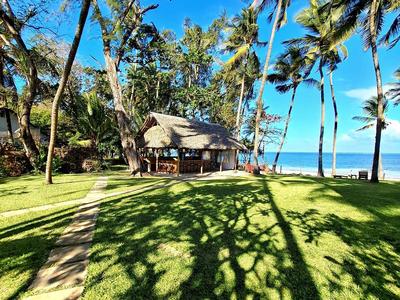 Zielona trawa z palmami i małym drewnianym domkiem przy plaży nad morzem.