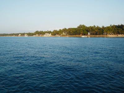 Wide coastline with dense trees and open sea under clear sky.