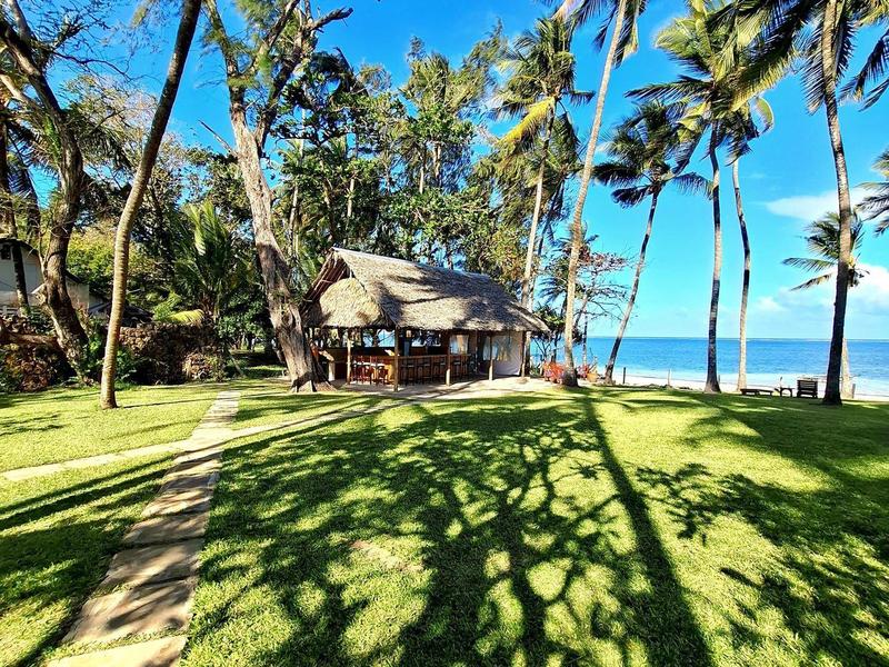 View of a palm-lined hut on the beach with green grass and clear blue sky.