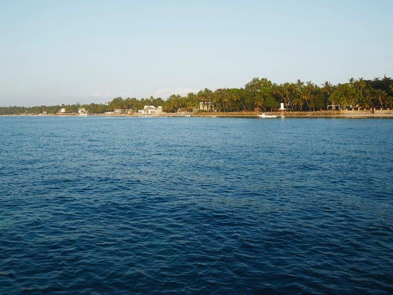 Wide coastline with dense trees and open sea under clear sky.