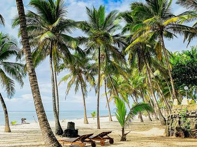 Sandstrand mit hoch aufragenden Palmen, Liegestühlen und blauen Himmel mit Wolken.
