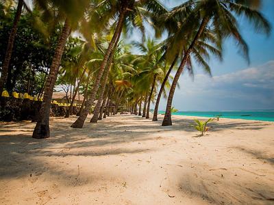 Strand mit Palmen, hellem Sand und türkisfarbenem Meer bei klarem Himmel