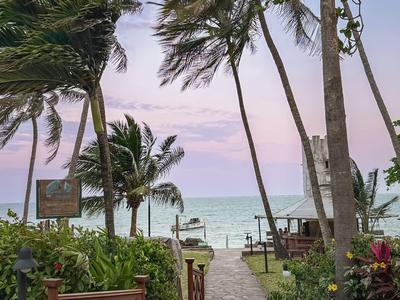 Un camino de playa bordeado de palmeras que conduce al mar al atardecer.