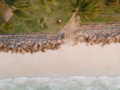 Vista aérea de una playa con palmeras, arena y olas en la orilla.