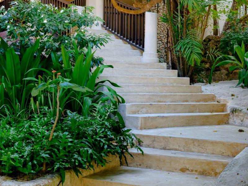 Escalier en pierre courbe entouré de verdure luxuriante et d'un arbre dans un style tropical.