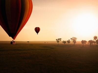 Heißluftballons fliegen bei Sonnenaufgang über eine weite, offene Landschaft mit Bäumen.