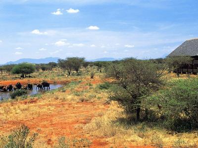 Landscape with lodge buildings beside a waterhole in a dry savanna under a blue sky.
