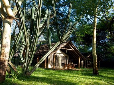 Small wooden cabin surrounded by trees and cacti on green grass in sunlight.