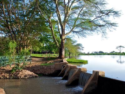 River with small waterfall and trees on the shore under sunny sky