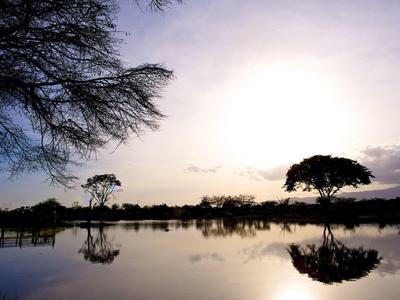 Landscape with trees and reflections in calm water at sunset