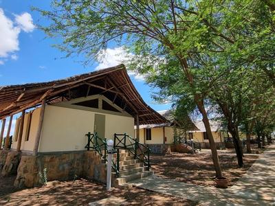 A rustic house with a thatched roof and trees in a sunlit area.