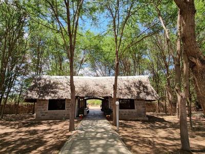 Path leads to thatched-roof entrance building in wooded hotel grounds.