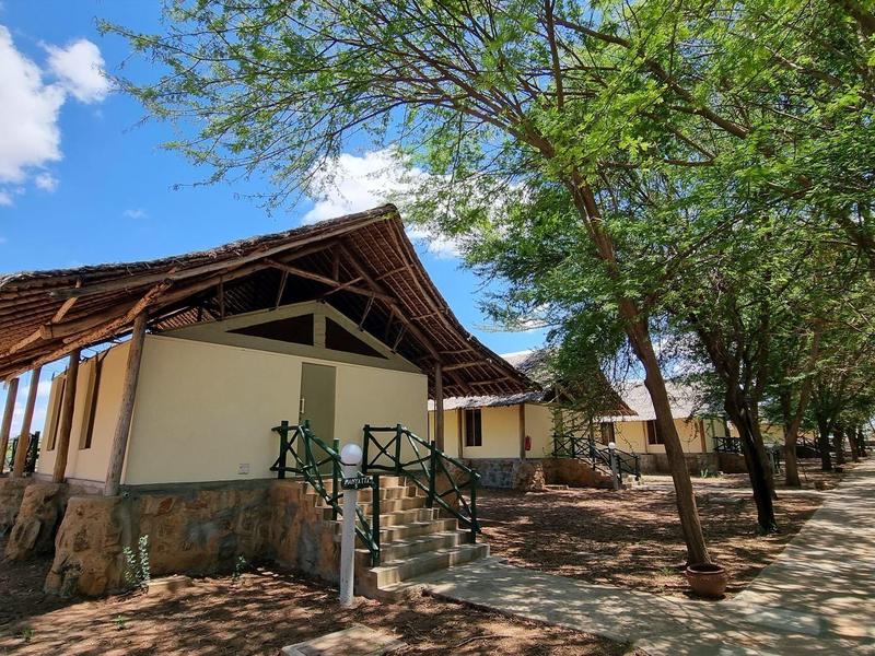 A rustic house with a thatched roof and trees in a sunlit area.