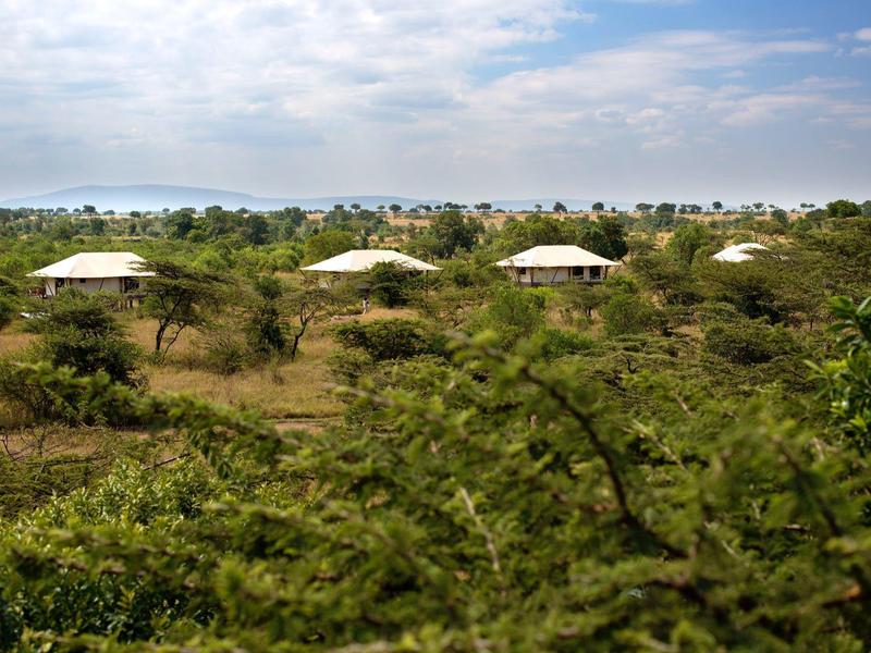 Mehrere runde Zeltdächer in einer grünen Savannenlandschaft unter blauem Himmel.