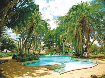 Piscina al aire libre rodeada de palmeras y vegetación en un entorno tropical soleado.