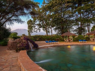 Escena vespertina de piscina con cascada, rodeada de árboles y tumbonas en un jardín de hotel.