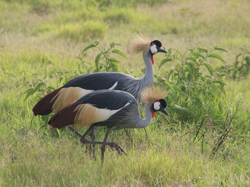 Edificio largo de hotel con techos rojos reflejado en agua tranquila bajo un cielo azul.