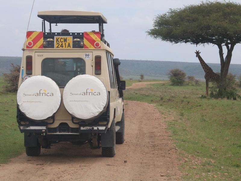 Vehículo de safari en camino de tierra en sabana africana con árbol y vista amplia
