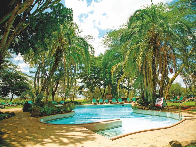 Piscina al aire libre rodeada de palmeras y vegetación en un entorno tropical soleado.