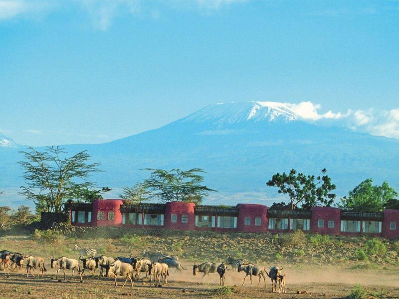 Trenes rojos atraviesan un paisaje seco con ovejas frente a una montaña nevada al fondo.