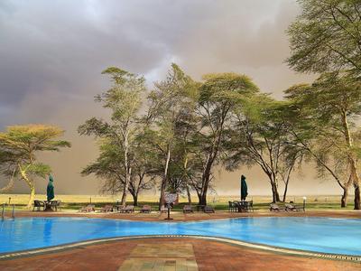 Blue-edged pool in front of trees and cloudy sky in a savannah-like landscape.