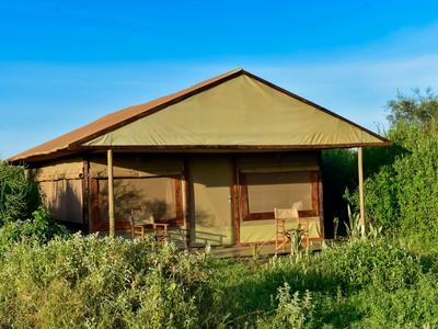 Rustic safari tent with veranda in green wilderness under a clear blue sky