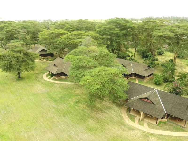 Aerial view of a safari lodge with multiple small buildings surrounded by green trees.