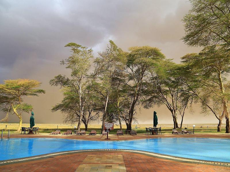 Blue-edged pool in front of trees and cloudy sky in a savannah-like landscape.