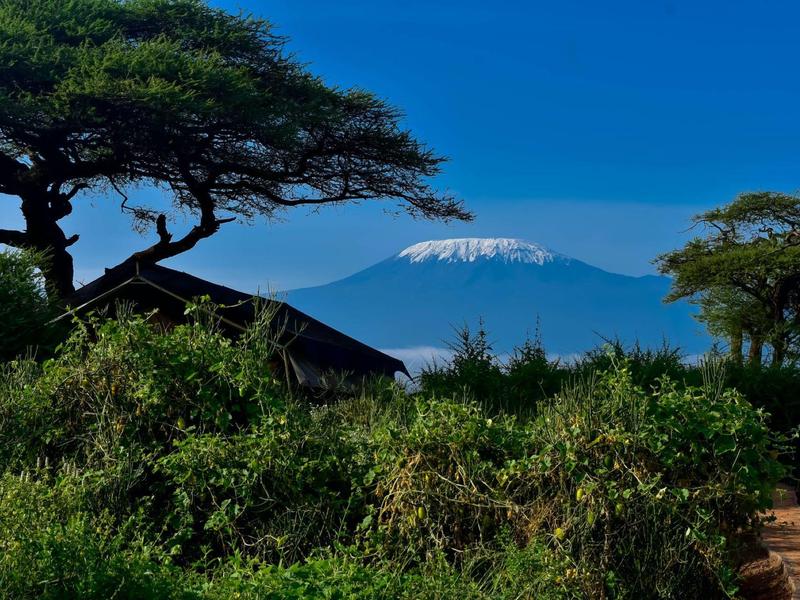 View of snow-capped mountain with trees and huts in foreground under clear sky