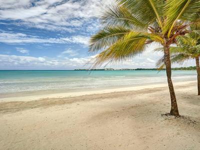 Sonniger Sandstrand mit Palmen und ruhigem türkisfarbenem Meer unter blauem Himmel.