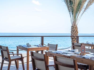 Terrace with wooden tables and chairs overlooking the sea and a palm tree