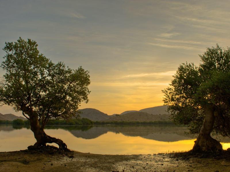 Sunset over calm lake with two distinctive trees on the shore and mountains in the background.