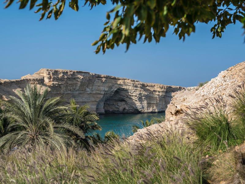 Přírodní skalní útvar s mořským obloukem a palmami pod jasnou oblohou, obklopený vegetací.