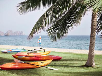 Mehrere bunte Kajaks liegen auf einer grünen Wiese neben einer Palme am Meer.