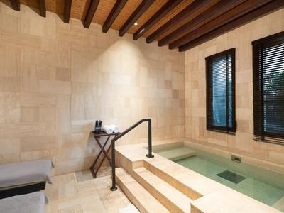 Interior view of a spa area with stairs leading to a water pool, windows, and wooden ceiling.