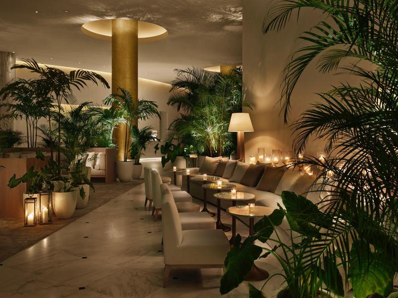 Gemütliche Lounge mit bequemen Sesseln, Kerzenlicht und vielen großen grünen Pflanzen.