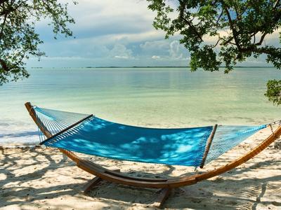 Blauer Hängematte auf Sandstrand mit Bäumen und ruhigem Meer im Hintergrund.
