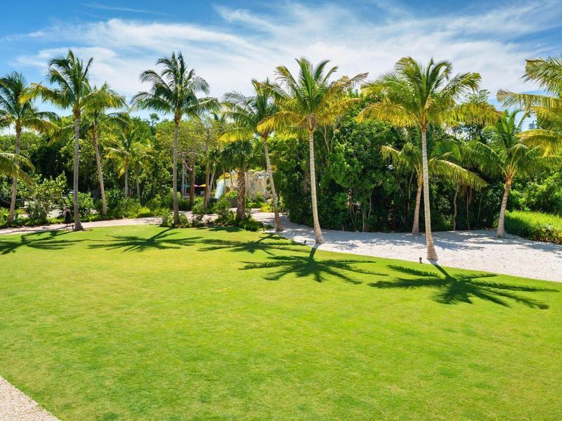 Grüner Garten mit Palmen, blauem Himmel und einigen Schattenspielen auf dem Rasen.