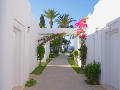 A pathway between white buildings with palm trees and blooming plants under a sunny sky.