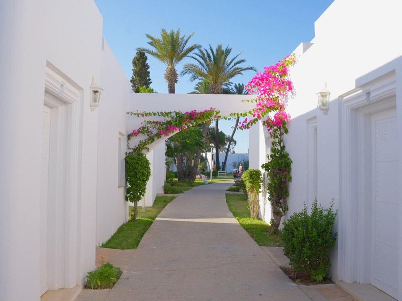 A pathway between white buildings with palm trees and blooming plants under a sunny sky.