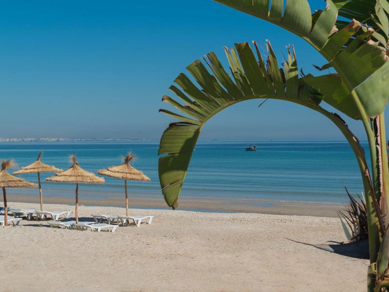 Plage de sable vide avec des parasols et une grande feuille de palmier au premier plan.