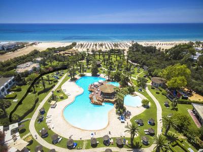 Groot zwembad met palmbomen en ligstoelen bij een zandstrand en blauwe zee.