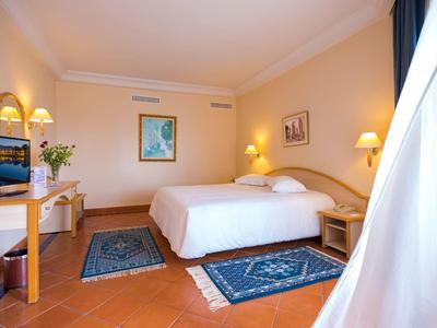 Bright hotel room with double bed, wooden furniture, and blue rugs.