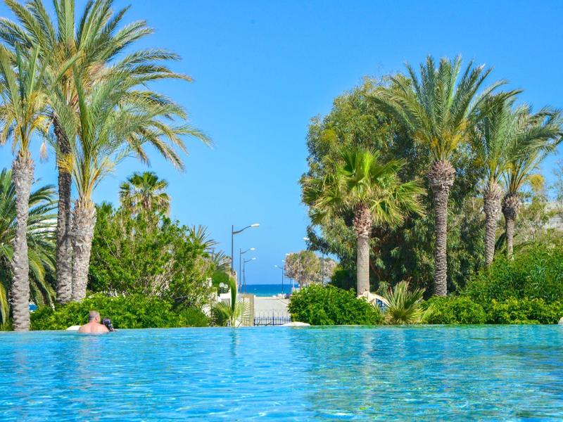 View over a pool with palm trees and blue sky towards the sea in the background.