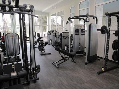 Palestra moderna con varie attrezzature e pesi in una stanza luminosa.