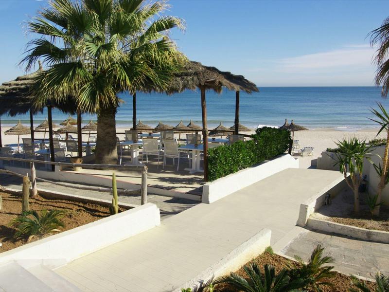 Zona di spiaggia soleggiata con palme, lettini e vista sul mare.