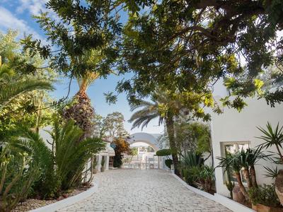 Ein gepflasterter Weg führt zwischen tropischen Pflanzen zu einem weißen Gebäude unter blauem Himmel.