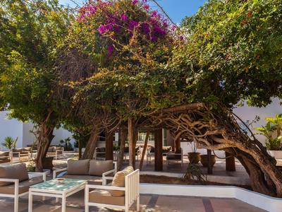 Terrasse ensoleillée avec chaises et tables sous un arbre aux fleurs violettes.